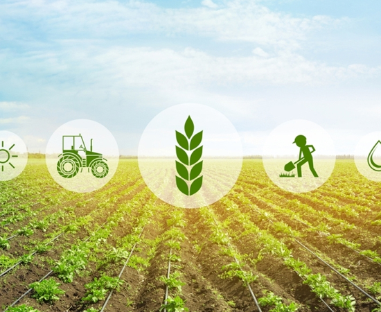 Ferramentas Manuais em São José dos Campos | Caterpar